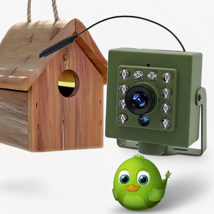 Cámara para pájaros con wifi para caja nido – Full HD, visión nocturna y resistente al clima