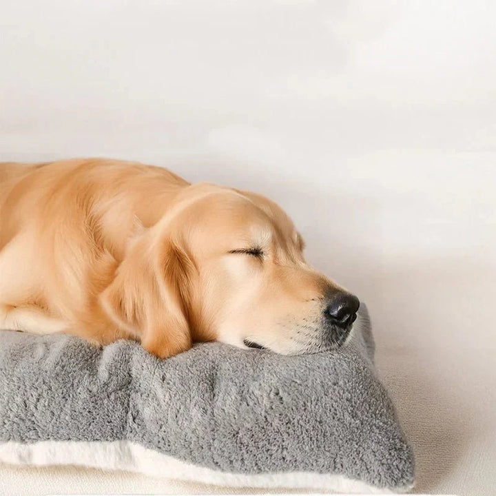 DOGPLUSH – Thick Plush Dog Mat for All Dog Sizes Vestragear