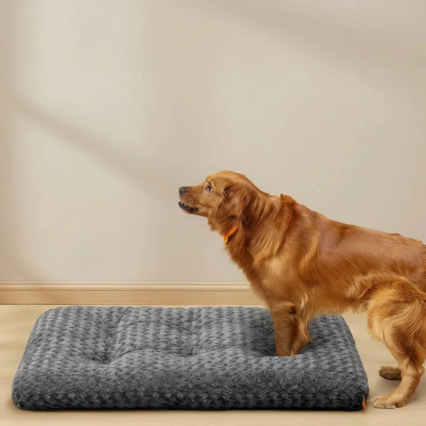 DOGCOMFY – Soft Dog Pillow for Large Dogs Vestragear