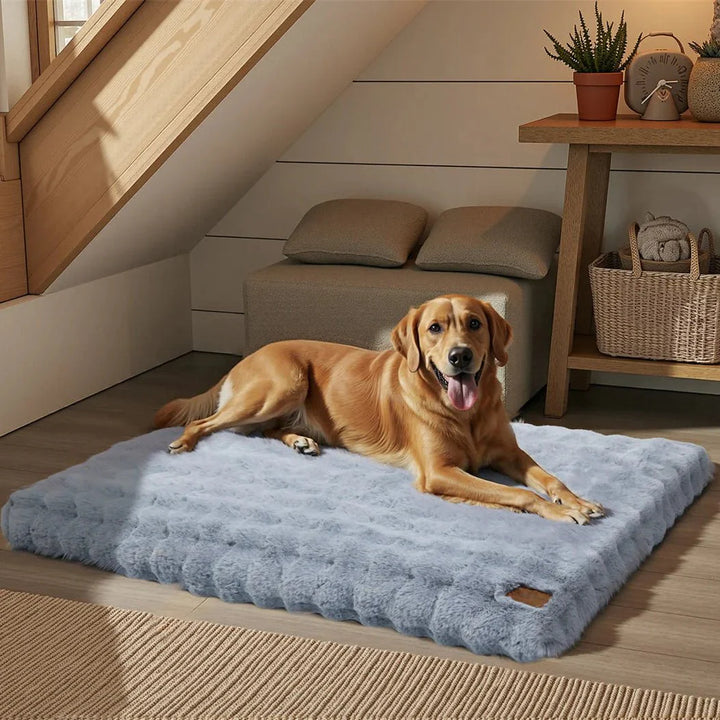 PETSERENE – Calming Bed for Dogs &amp; Cats Vestragear