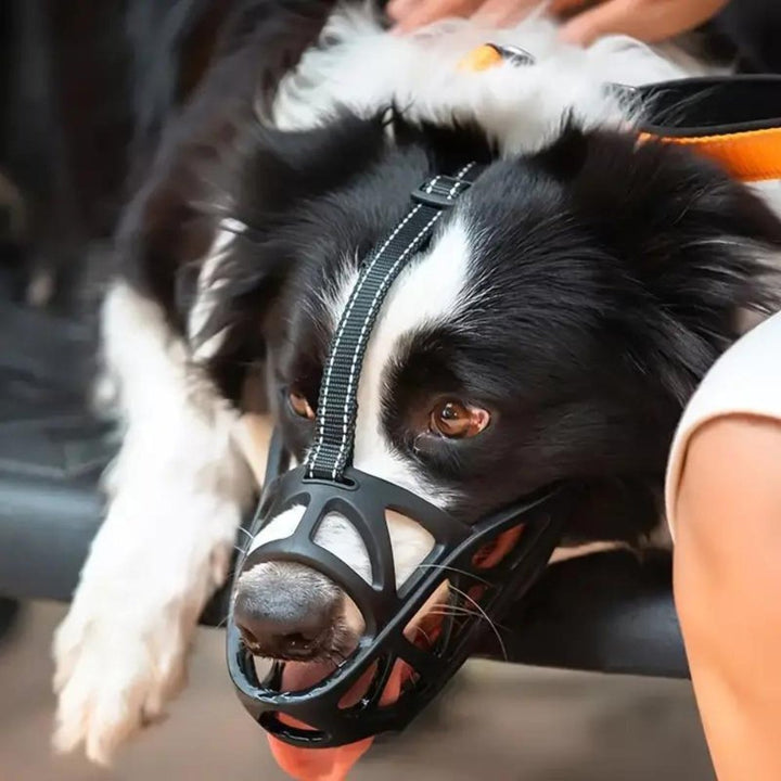 DOGORA – Gentle Dog Muzzle for Safe Everyday Situations Bolendo