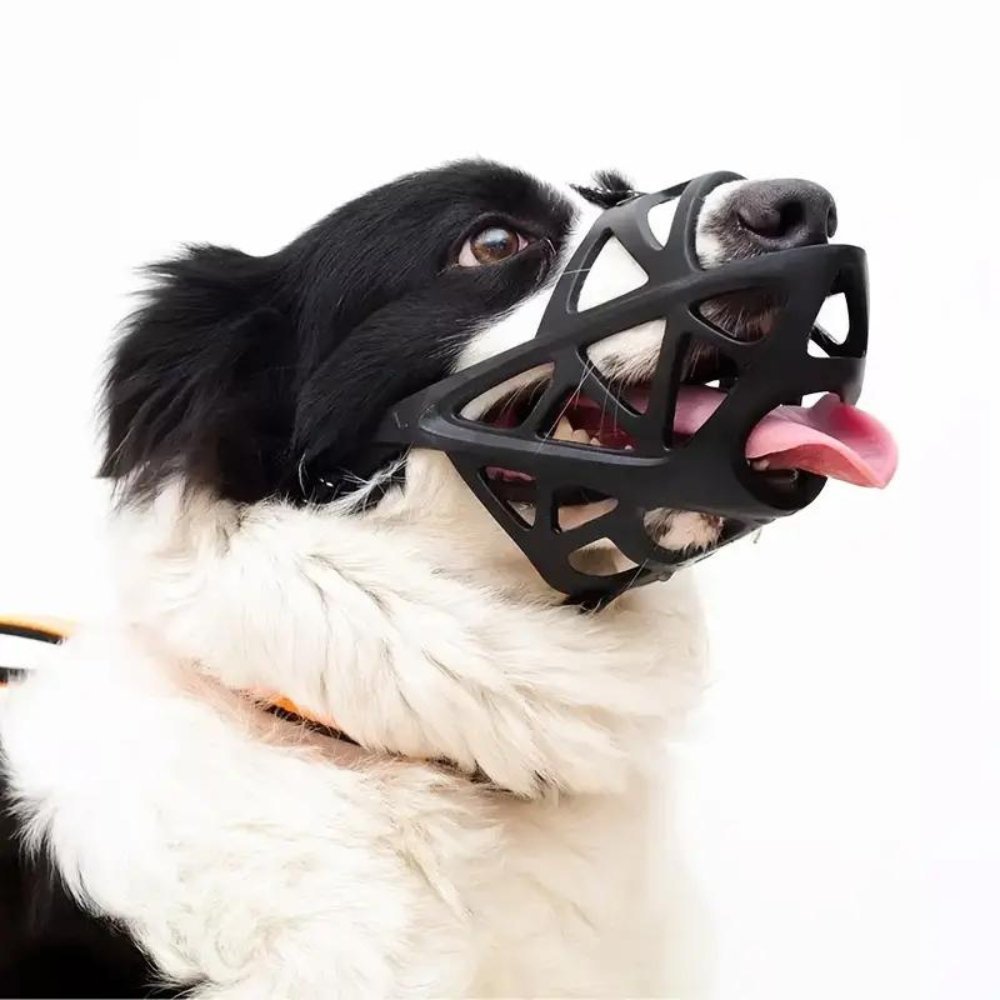 DOGORA – Gentle Dog Muzzle for Safe Everyday Situations Bolendo