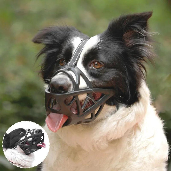 DOGORA – Gentle Dog Muzzle for Safe Everyday Situations Bolendo