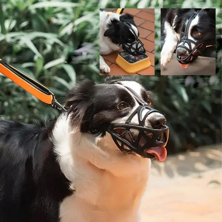 DOGORA – Gentle Dog Muzzle for Safe Everyday Situations Bolendo