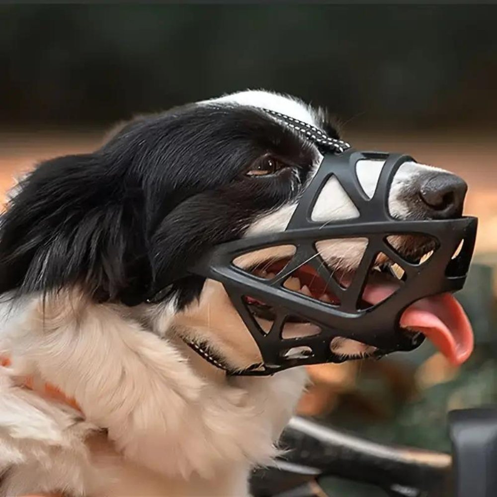 DOGORA – Gentle Dog Muzzle for Safe Everyday Situations Bolendo