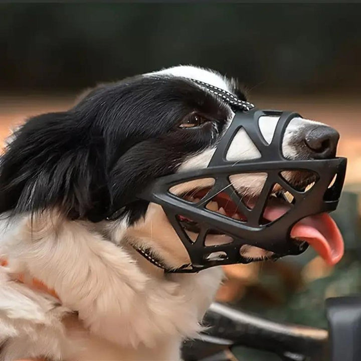 DOGORA – Gentle Dog Muzzle for Safe Everyday Situations Bolendo