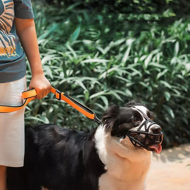 DOGORA – Gentle Dog Muzzle for Safe Everyday Situations Bolendo