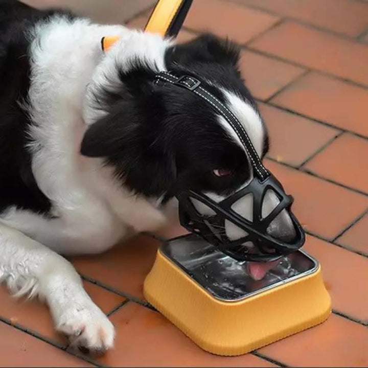 DOGORA – Gentle Dog Muzzle for Safe Everyday Situations Bolendo