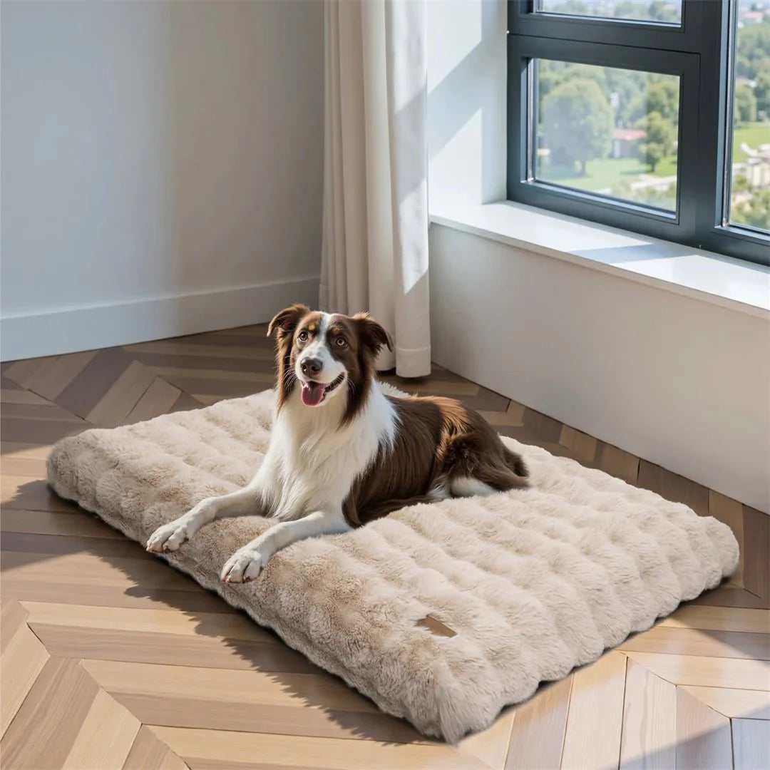 PETSERENE – Calming Bed for Dogs & Cats Vestragear