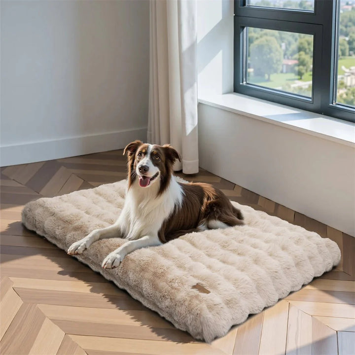 PETSERENE – Calming Bed for Dogs &amp; Cats Vestragear