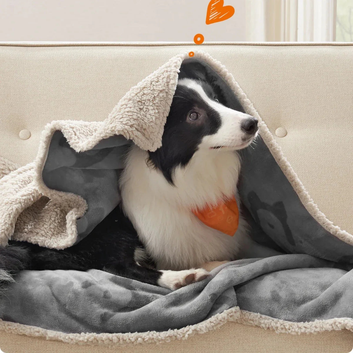 FURBLANKET – Soft Blanket for Dogs & Cats Vestragear