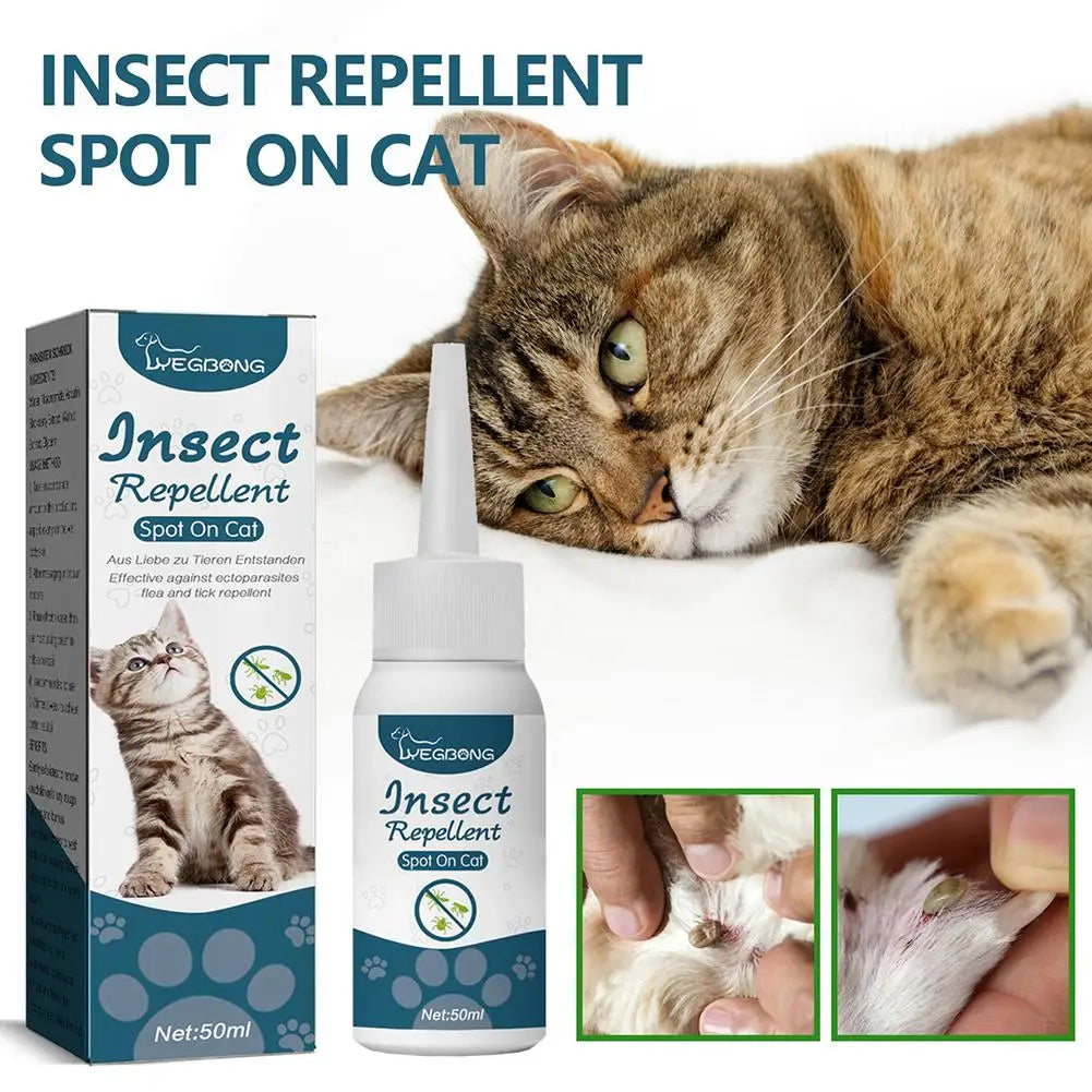 Katzen Spot-On – Pflanzenbasiertes Pflegeöl mit Tropfflasche für Fellbereiche Bolendo