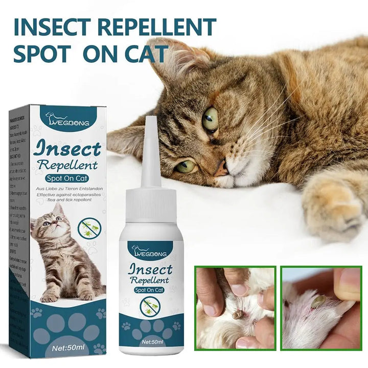 Katzen Spot-On – Pflanzenbasiertes Pflegeöl mit Tropfflasche für Fellbereiche Bolendo