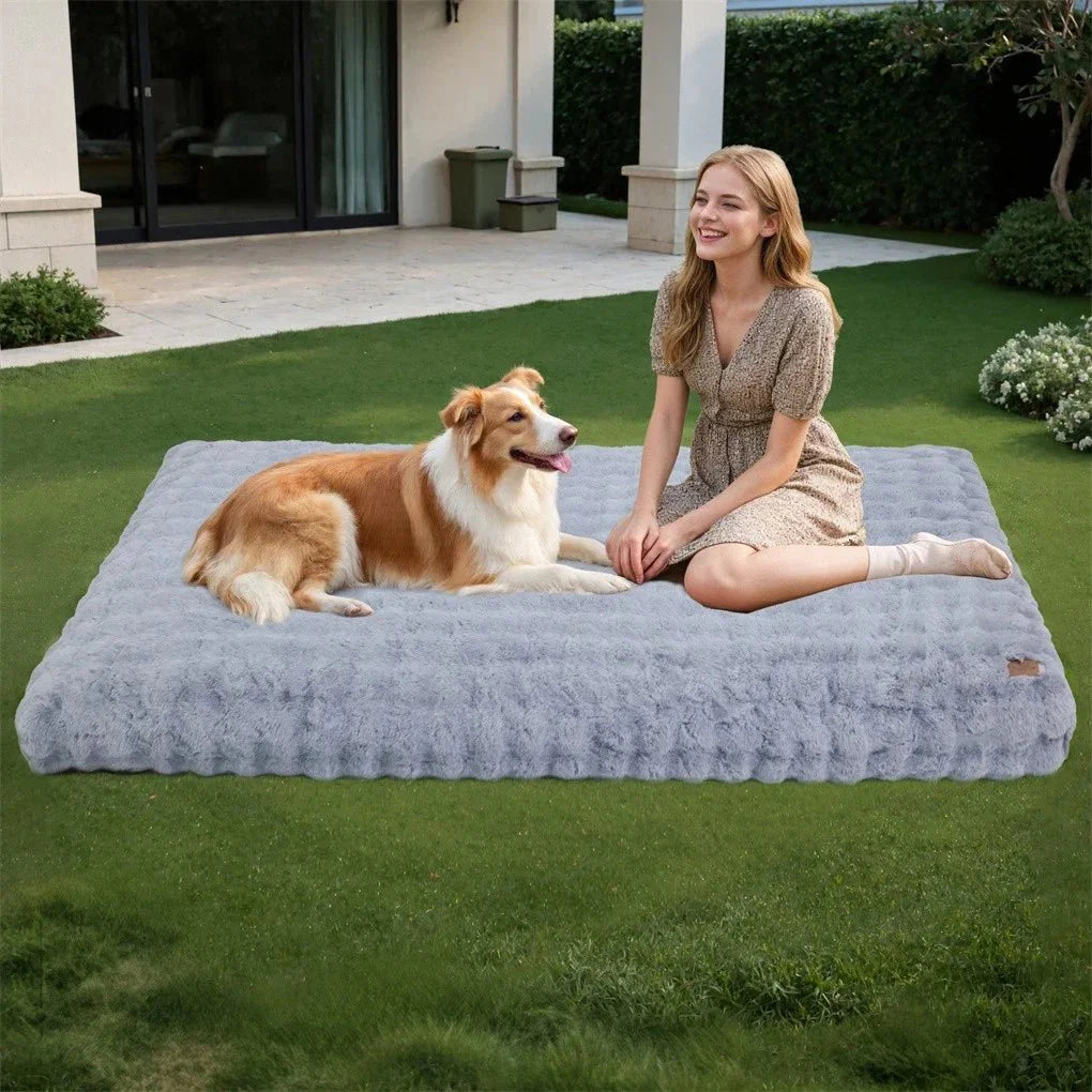 PETSERENE – Calming Bed for Dogs &amp; Cats Vestragear
