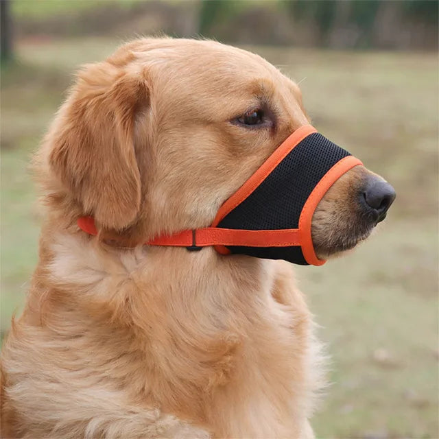SoftSnout | Stop blaffen en bijten met gemak 7