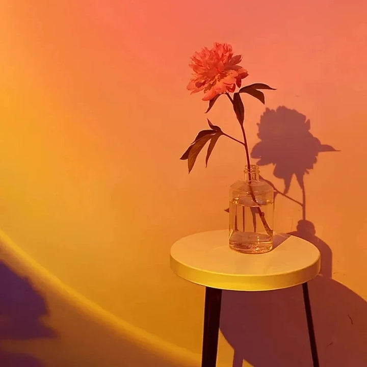Sunset Projector 6