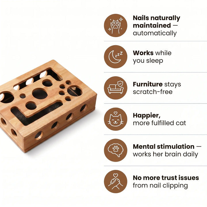 The NailNest™ 2