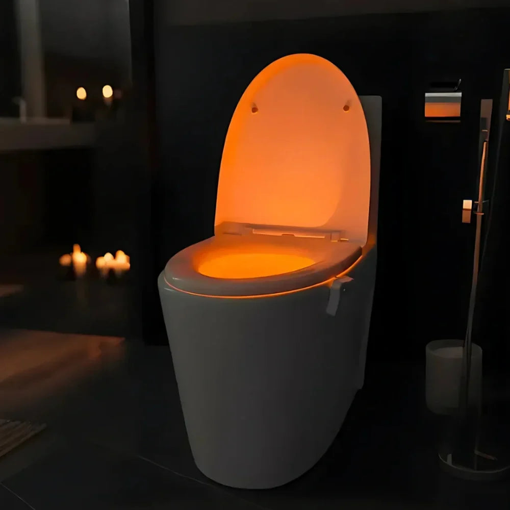 Toilet Night Light 2