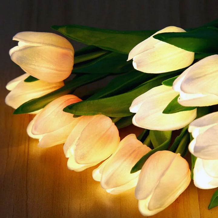 Tulip Night Light 4