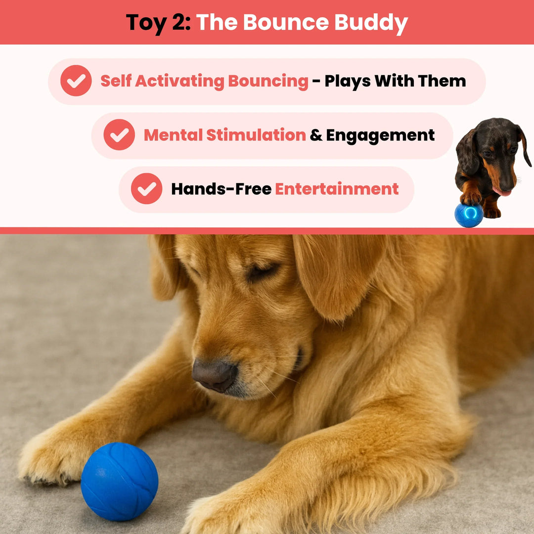 Ultimate Stimulation Bundle 2