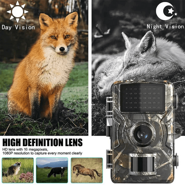 WILDWATCH – Wildcamera met 12 MP nachtzicht en 1080p HD-video 1