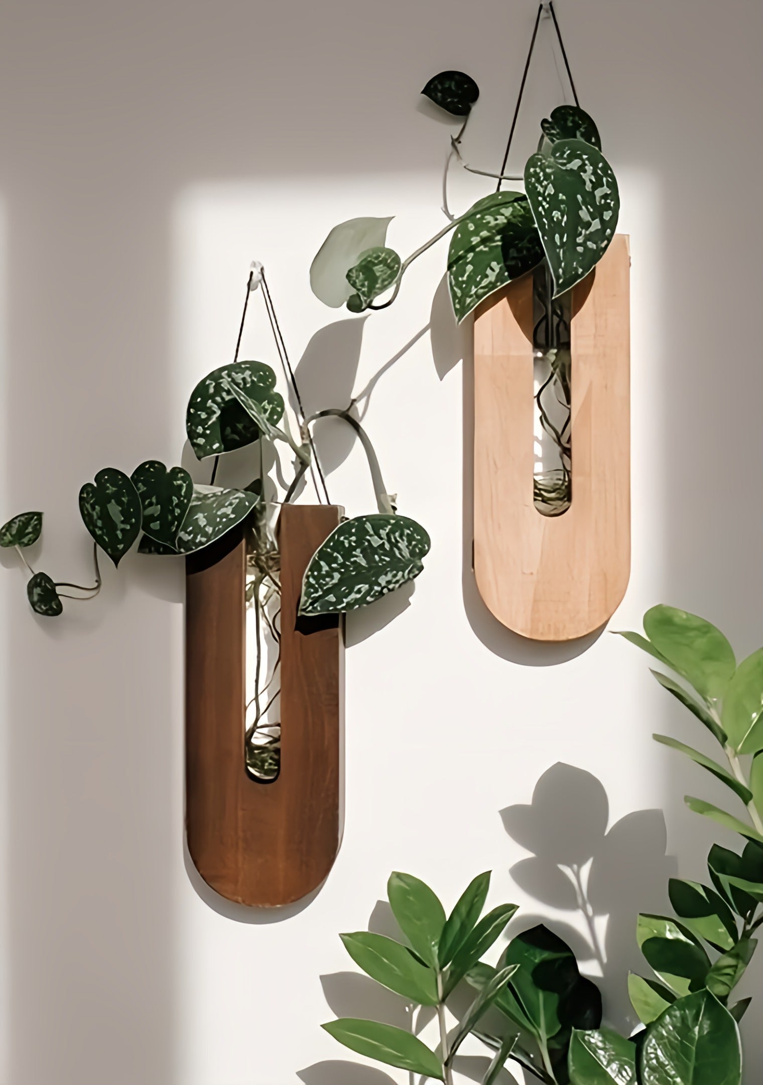 WoodFlora | Set Rustieke Creatieve Houten Muurbloemenhouders - voor Kamerplanten 2