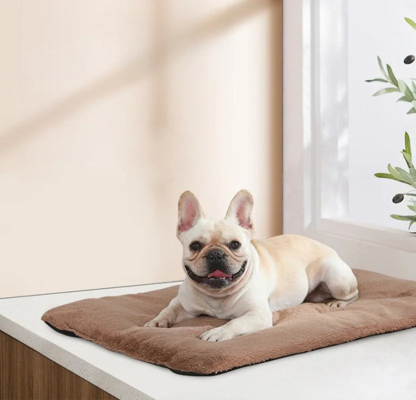 Zelfverwarmend kussen voor huisdieren - comfortabel en veilig 2