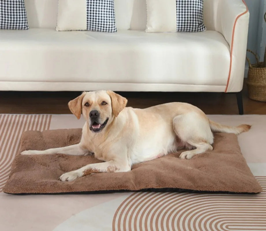 Zelfverwarmend kussen voor huisdieren - comfortabel en veilig 3