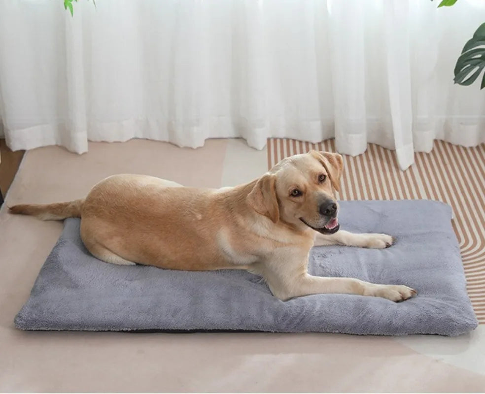 Zelfverwarmend kussen voor huisdieren - comfortabel en veilig 4