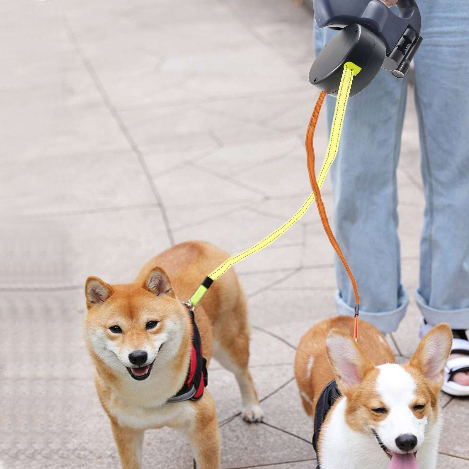 PawLink Duo Guinzaglio per Cani – Doppio Guinzaglio a Rotella con LED e Riflettente