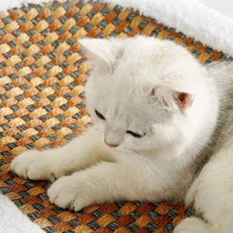 Clawora – Rascador de madera con sisal y superficie para tumbarse – mueble elegante para gatos