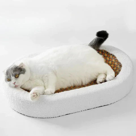 Clawora – Rascador de madera con sisal y superficie para tumbarse – mueble elegante para gatos