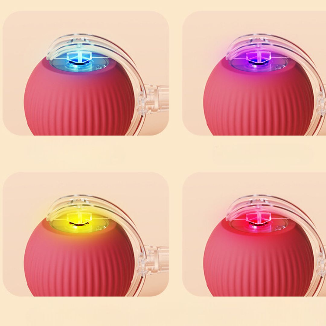 Catimo – Bola interactiva para gatos con cola y recargable por USB – Para interiores