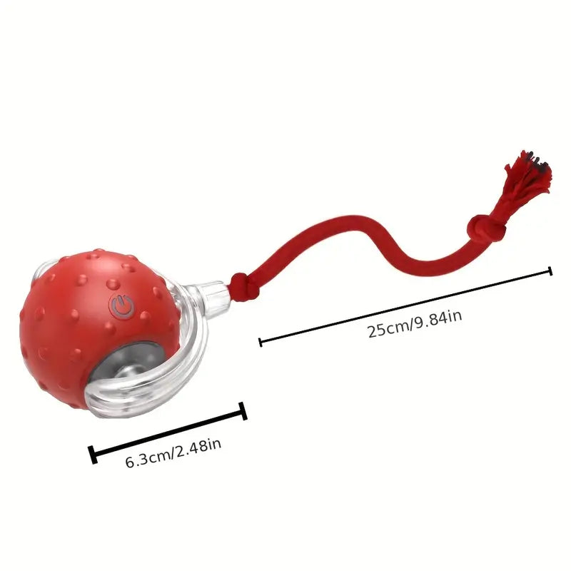 Catimo – Bola interactiva para gatos con cola y recargable por USB – Para interiores